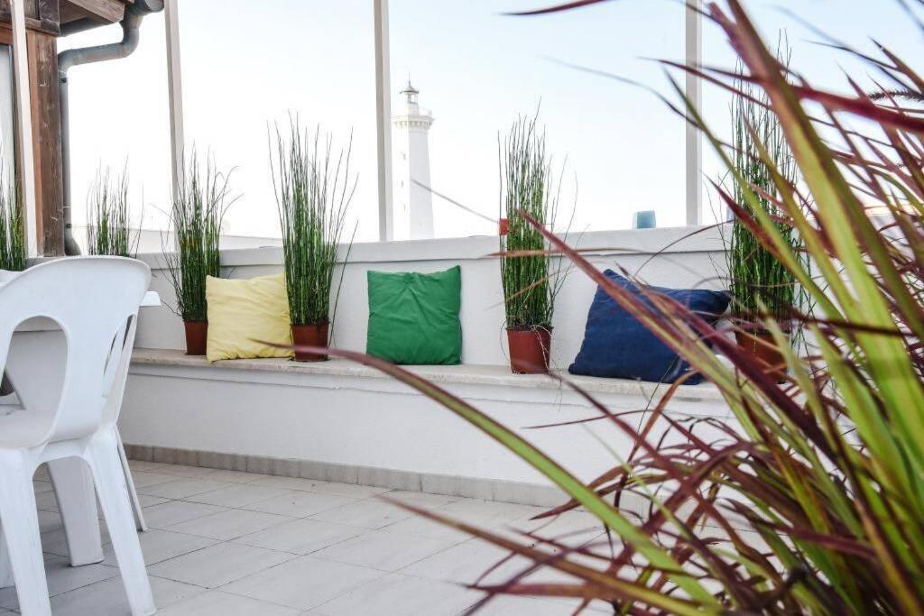 토레깐느 La Terrazza Di Alcino 아파트 외부 사진